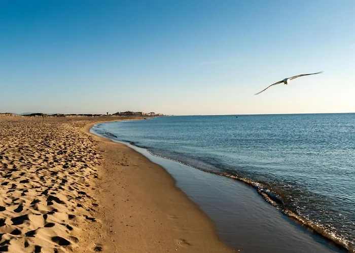 Апартаменты Soleil Bleu-8 By Interhome Кане